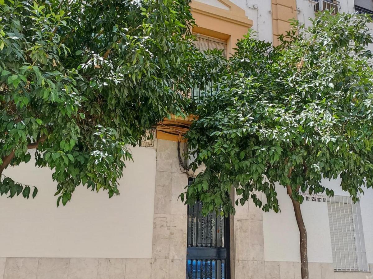 Modernos Apartamentos En Ciudad Jardin Cordoue Extérieur photo